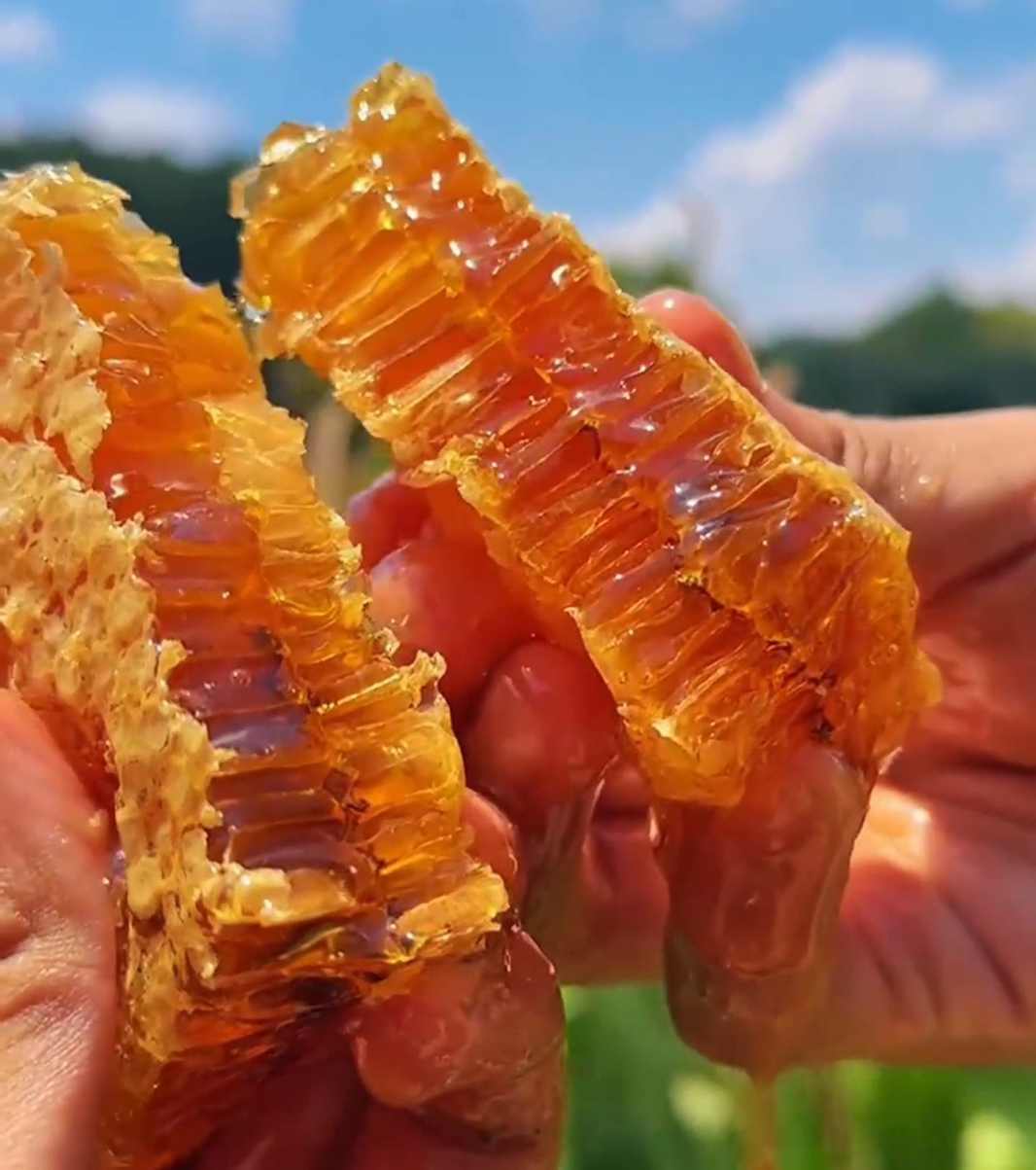 加工蜜和土蜂蜜的区别
