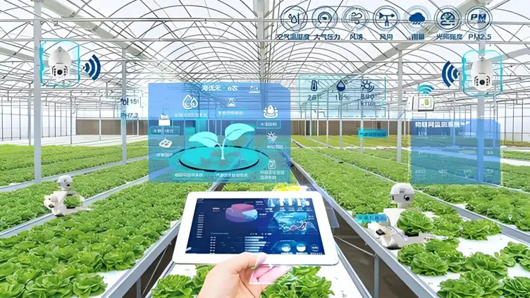 农产品和农副产品的区别